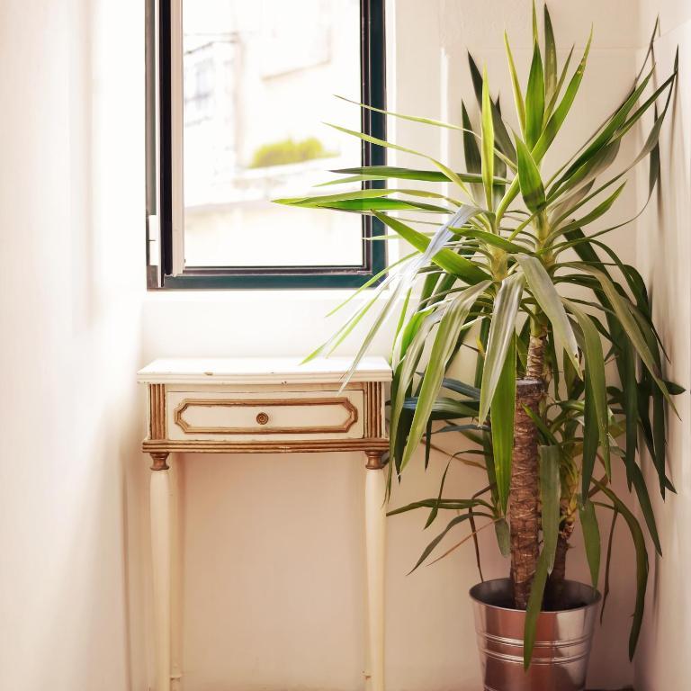 Lisbon Story Guesthouse Bagian luar foto